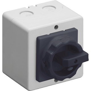ASN Aan/uitschakelaar 25A Opbouw IP65 Vergrendelbaar 2 plg.