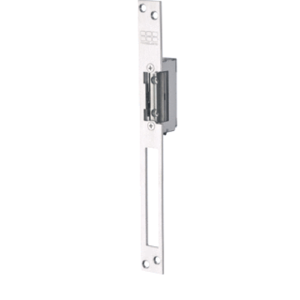 Dagschoot ontgrendeling 200 kg, 12 V DC/ 250 mA, universele uitvoering